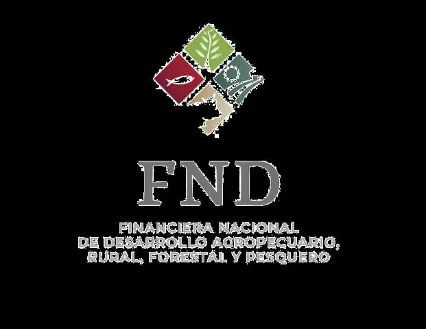 Finanzas e Impacto
